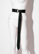 Belt with D-Rings